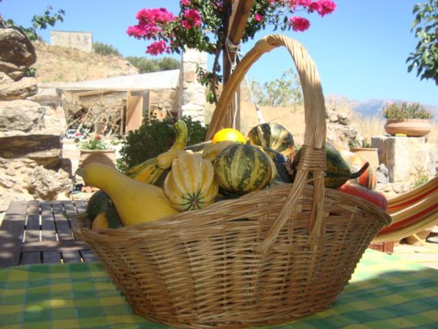 Agrotourism Traditional House Apartment Apostoli Exterior photo