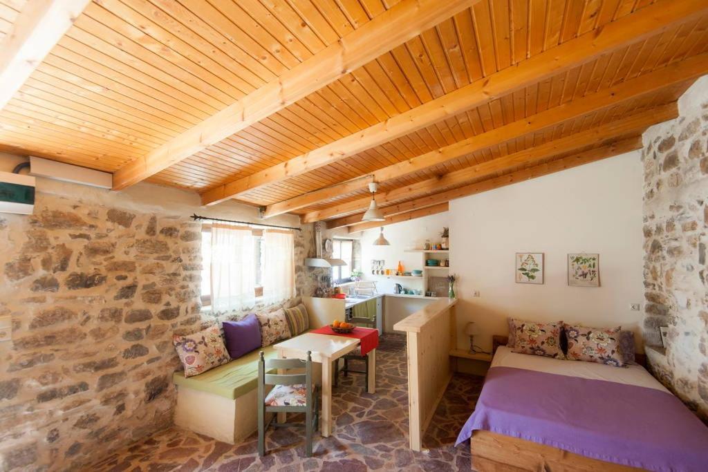 Agrotourism Traditional House Apartment Apostoli Exterior photo