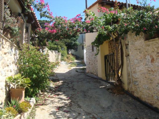 Agrotourism Traditional House Apartment Apostoli Exterior photo